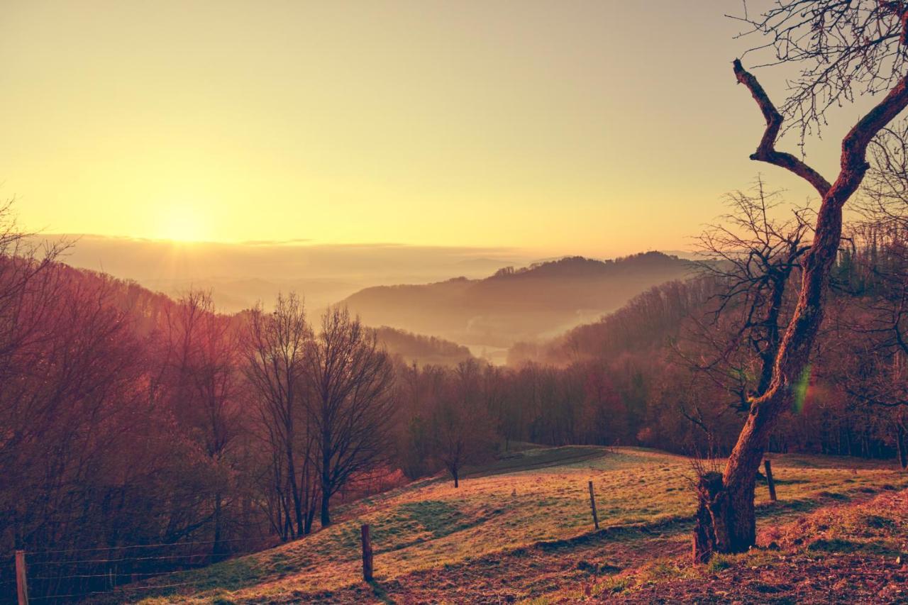 Tri Vile Estate, A Piece Of Paradise In Kozjansko Podčetrtek Exteriör bild